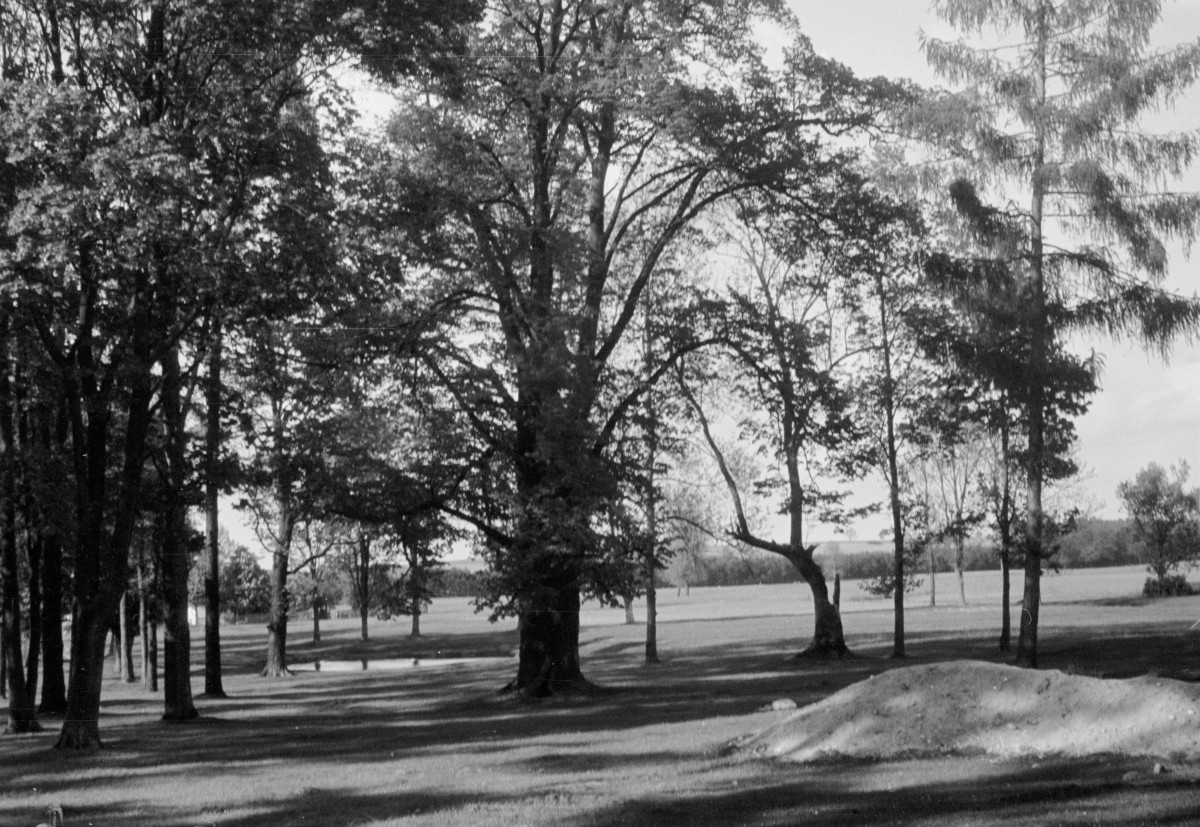 dwór - park, skan 1