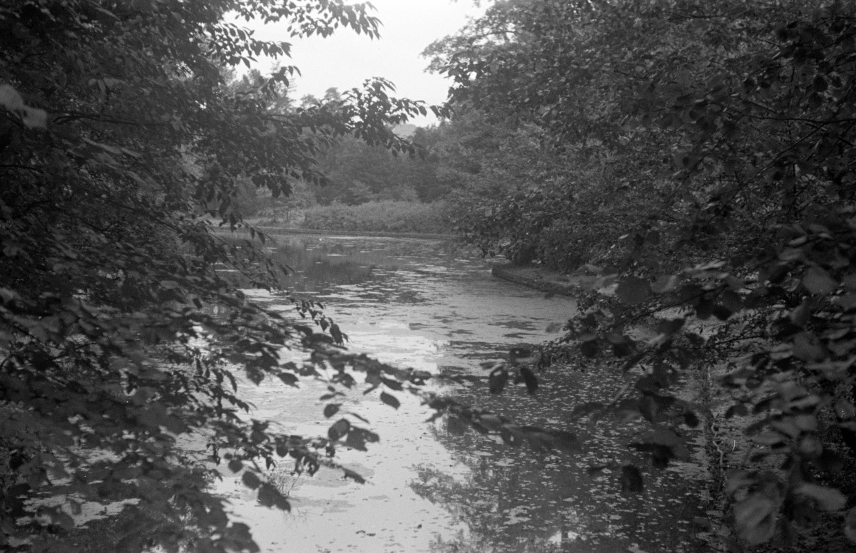 park Szczytnicki - fragment, skan 1