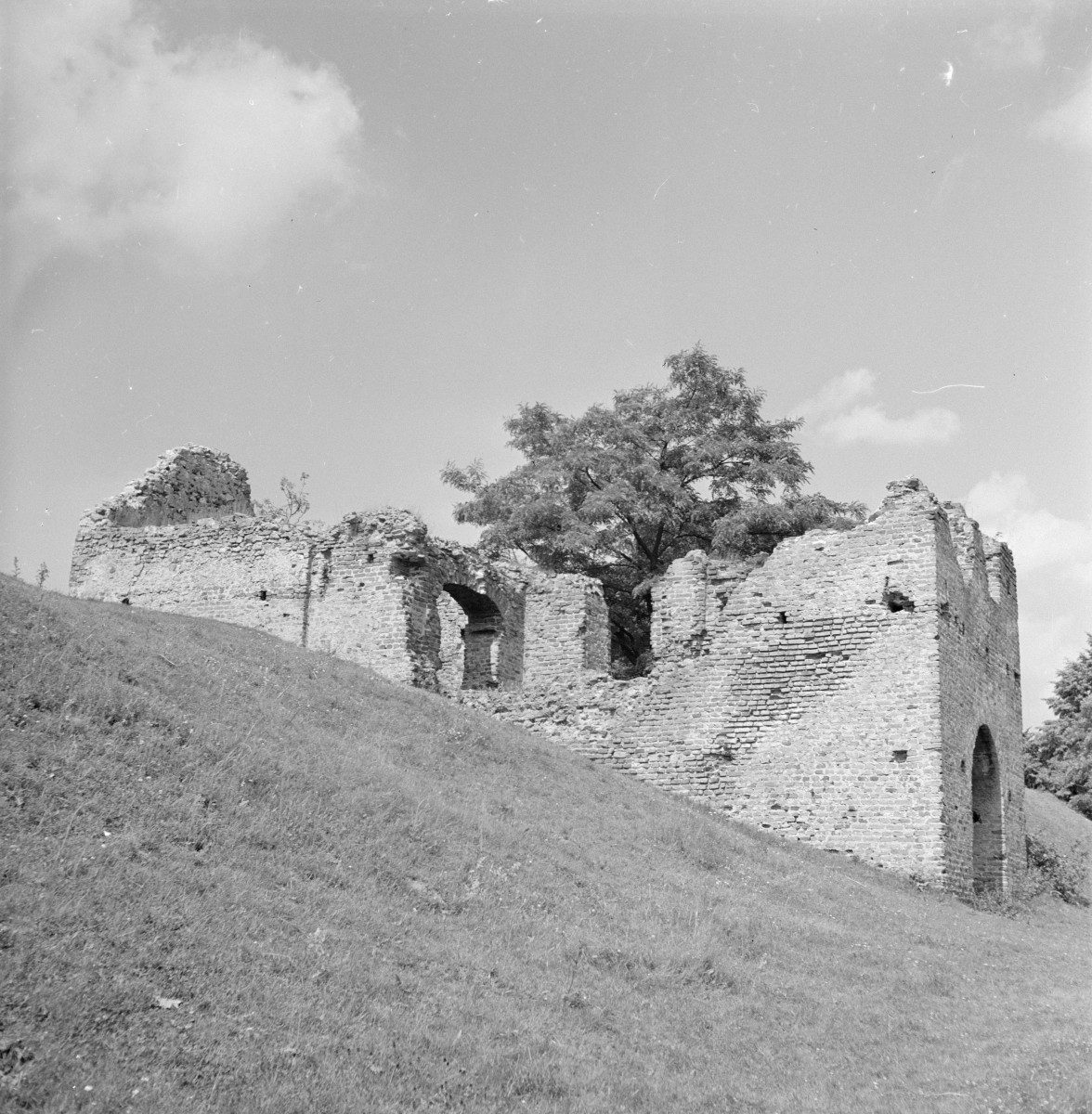 zamek bastionowy - ruiny, elewacja, skan 1
