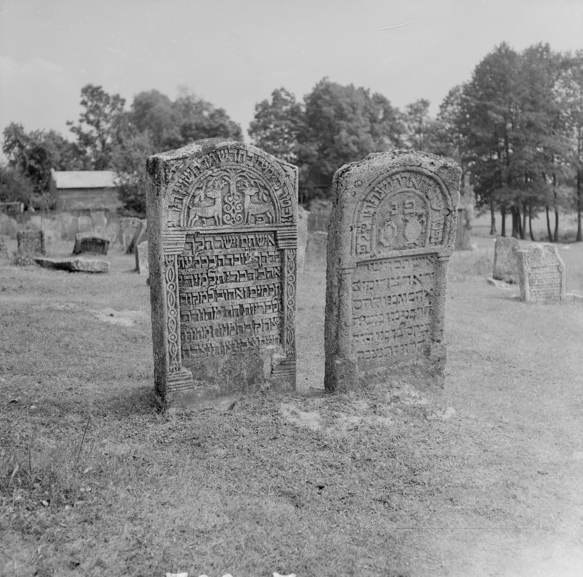 Cmentarz, Kirkut - macewy, skan 1