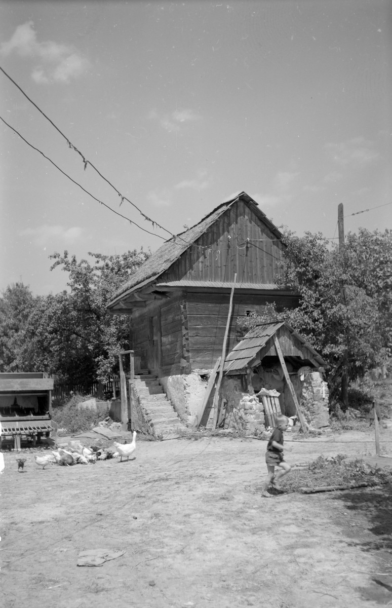 chałupa drewniana - widok ogólny, skan 1