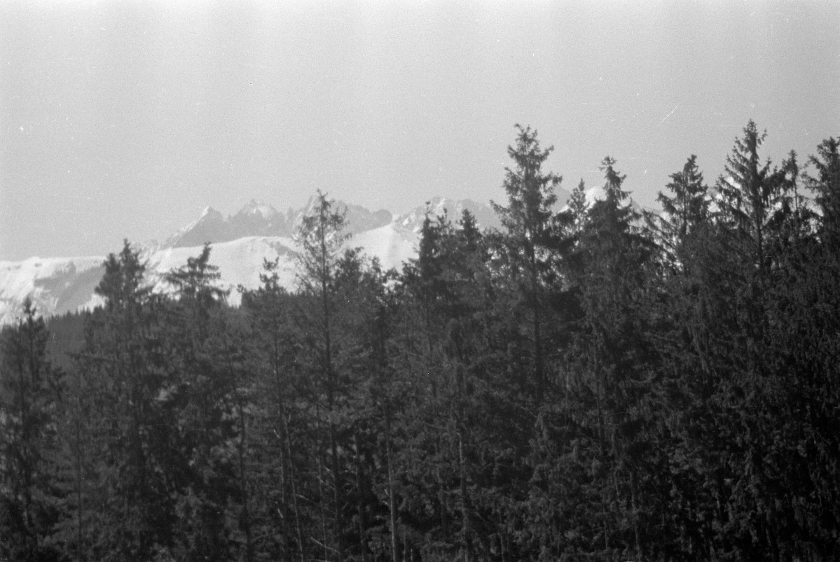 widok na Tatry, skan 1