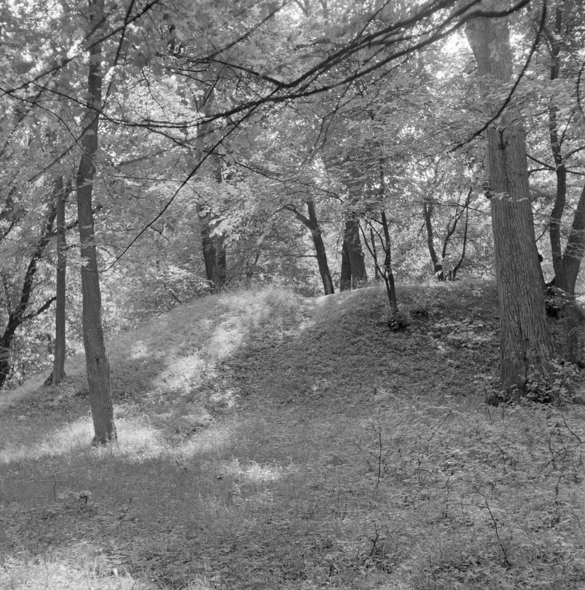 grodzisko - widok ogólny, skan 1