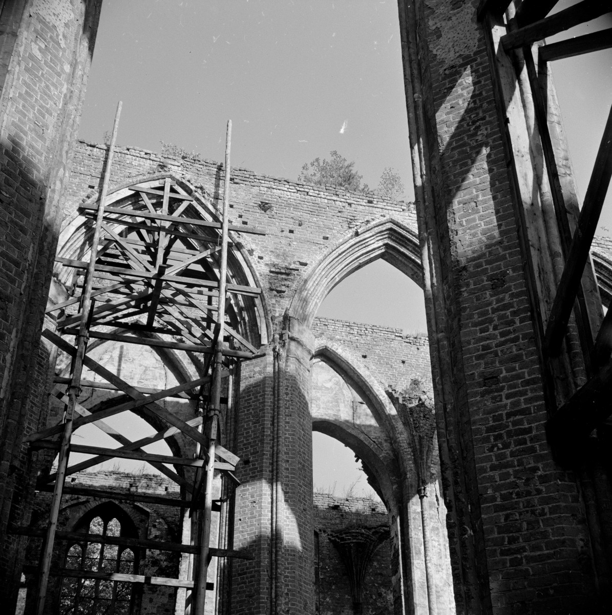 bazylika konkatedralna - fragment nawy głównej, filary, skan 1