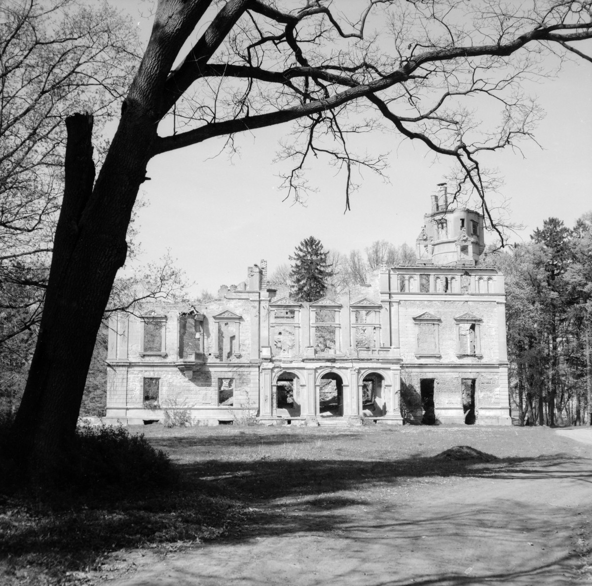 Ruiny pałacu z 1595 roku. Elewacja frontowa, skan 1