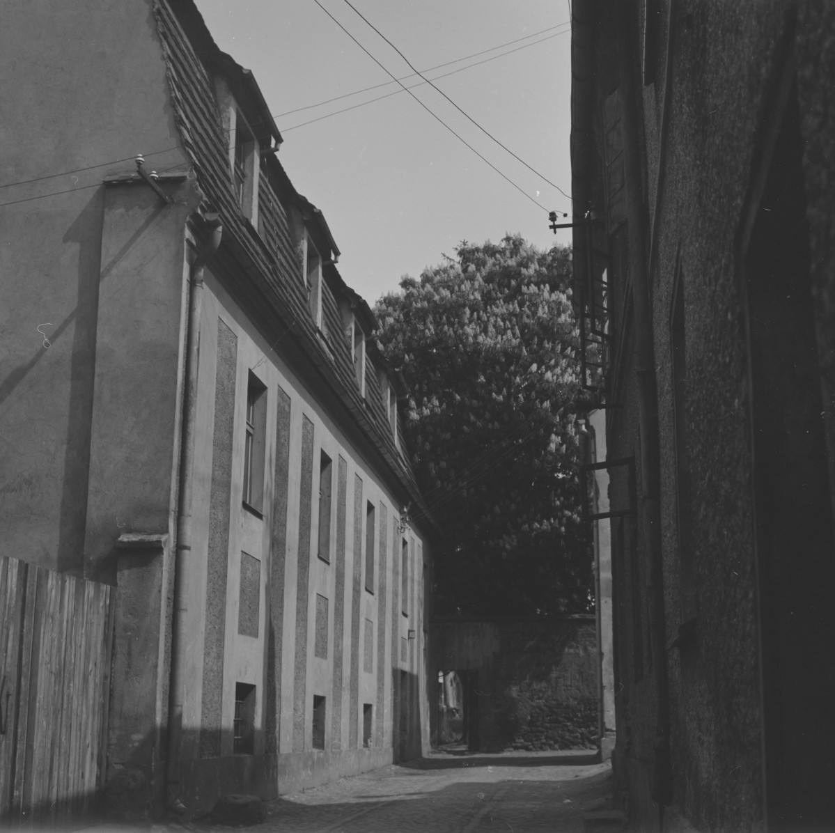 klasztor Franciszkanów - elewacja - fragment, skan 1