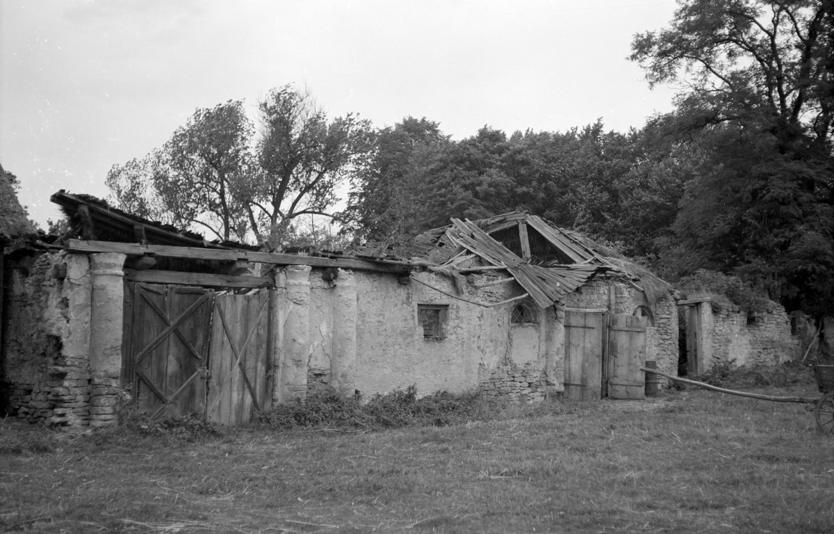 ruiny zabudowań gospodarczych dworu - widok ogólny, skan 1