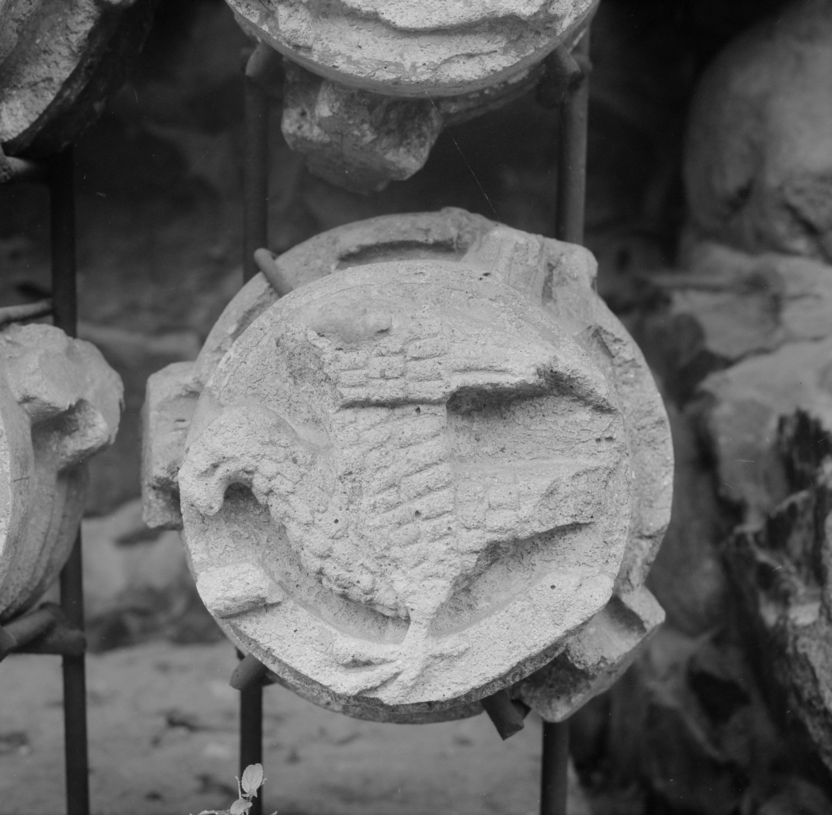 Zamek w Malborku - lapidarium - detal arch. - zwornik, symbpl św. Jana, skan 1