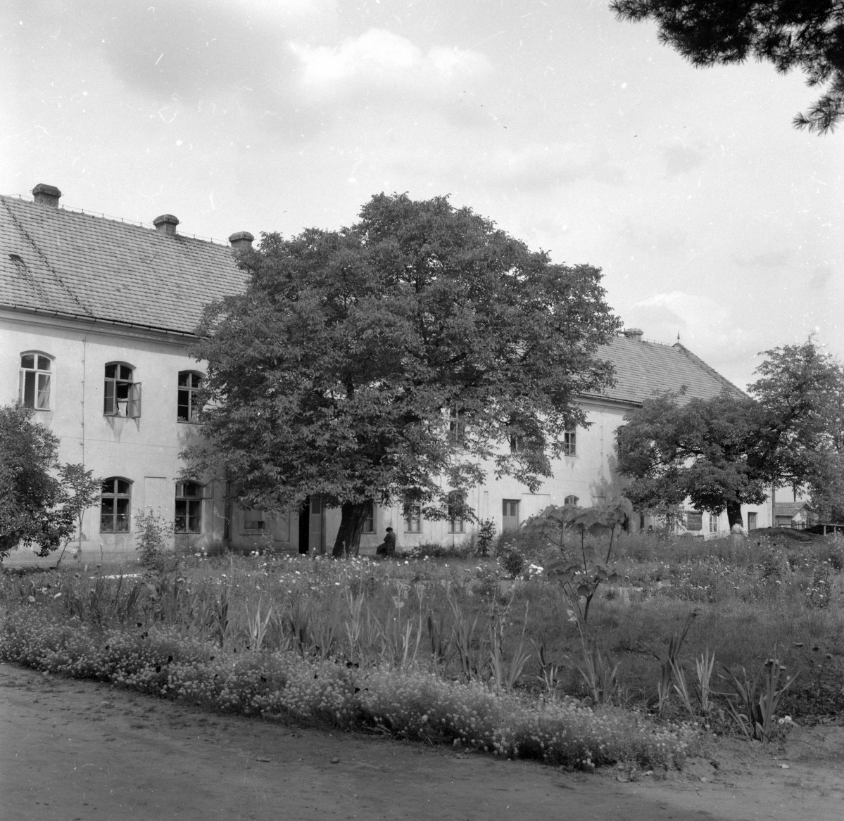 zespół dawnego browaru oraz klasztoru - elewacja, skan 1