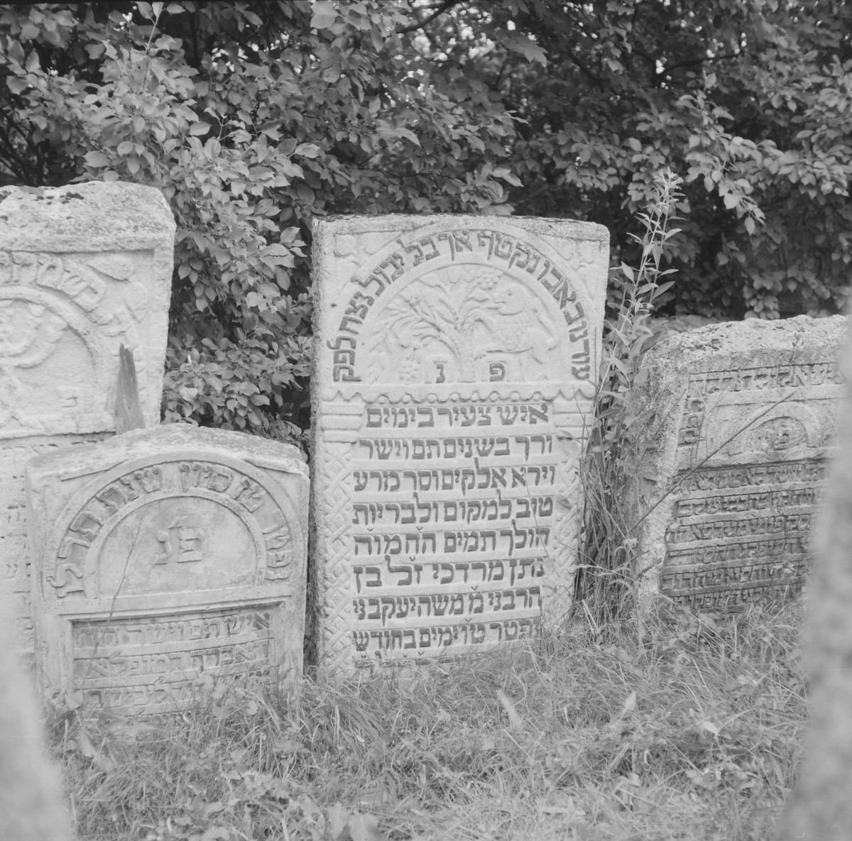 Cmentarz, Kirkut - macewy, skan 1