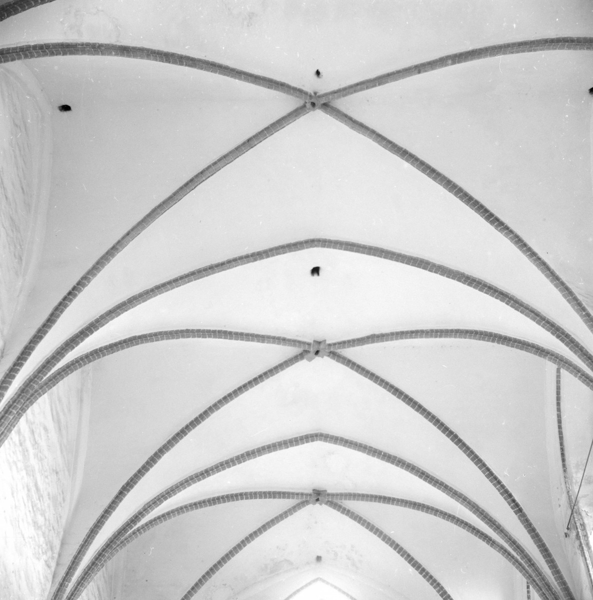 zespół klasztorny dominikanów, kościół pw. Najświętszej Marii Panny, obecnie galeria sztuki EL - wnętrze: sklepienie prezbiterium, skan 1