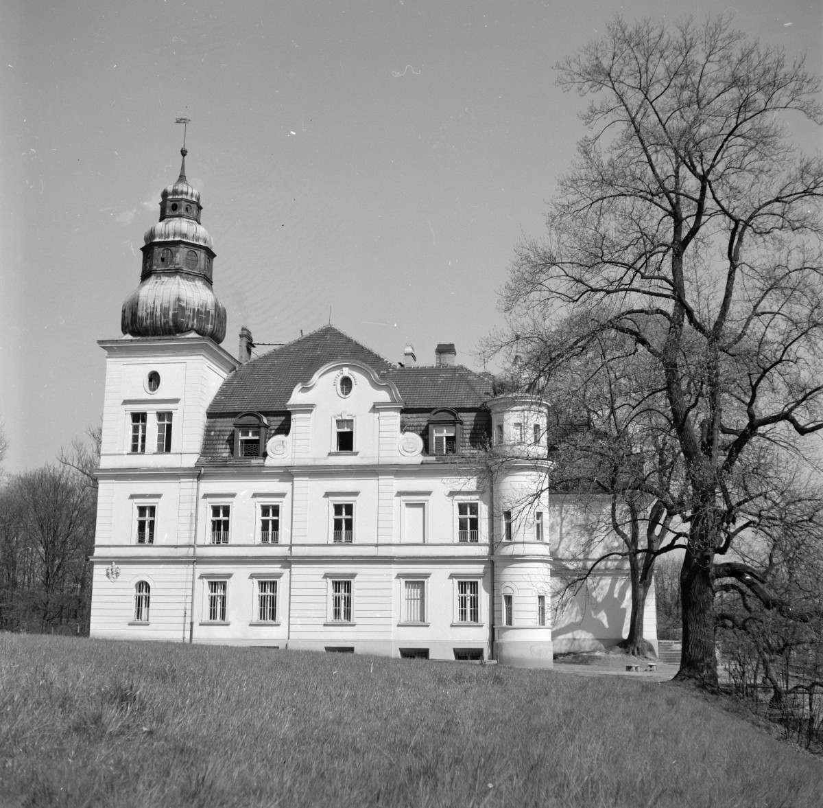 pałac von Strachwitzów - elewacja zachodnia, skan 1
