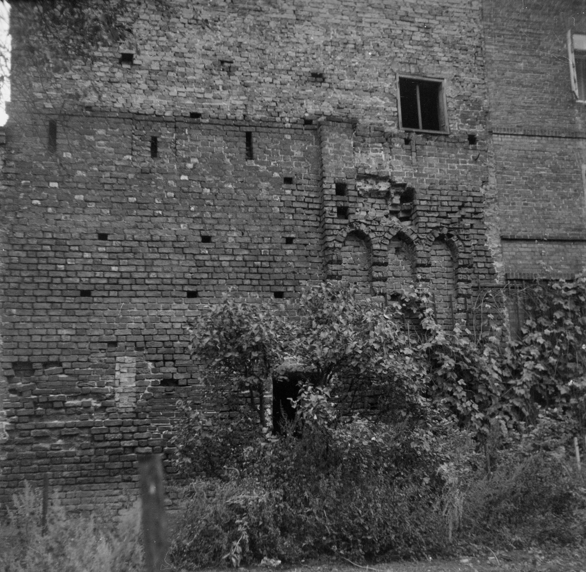 mury miejskie - ruiny - fragment, skan 1