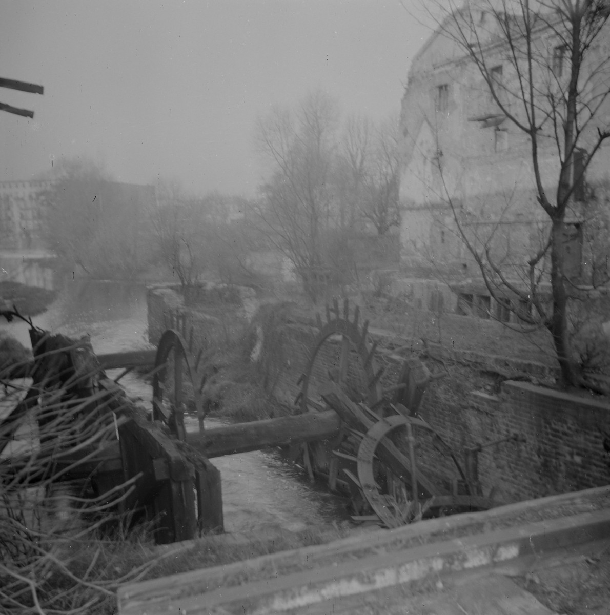 Wyspa Bielarska. Zniszczony młyny oraz fragmenty kół młyńskich. , skan 1