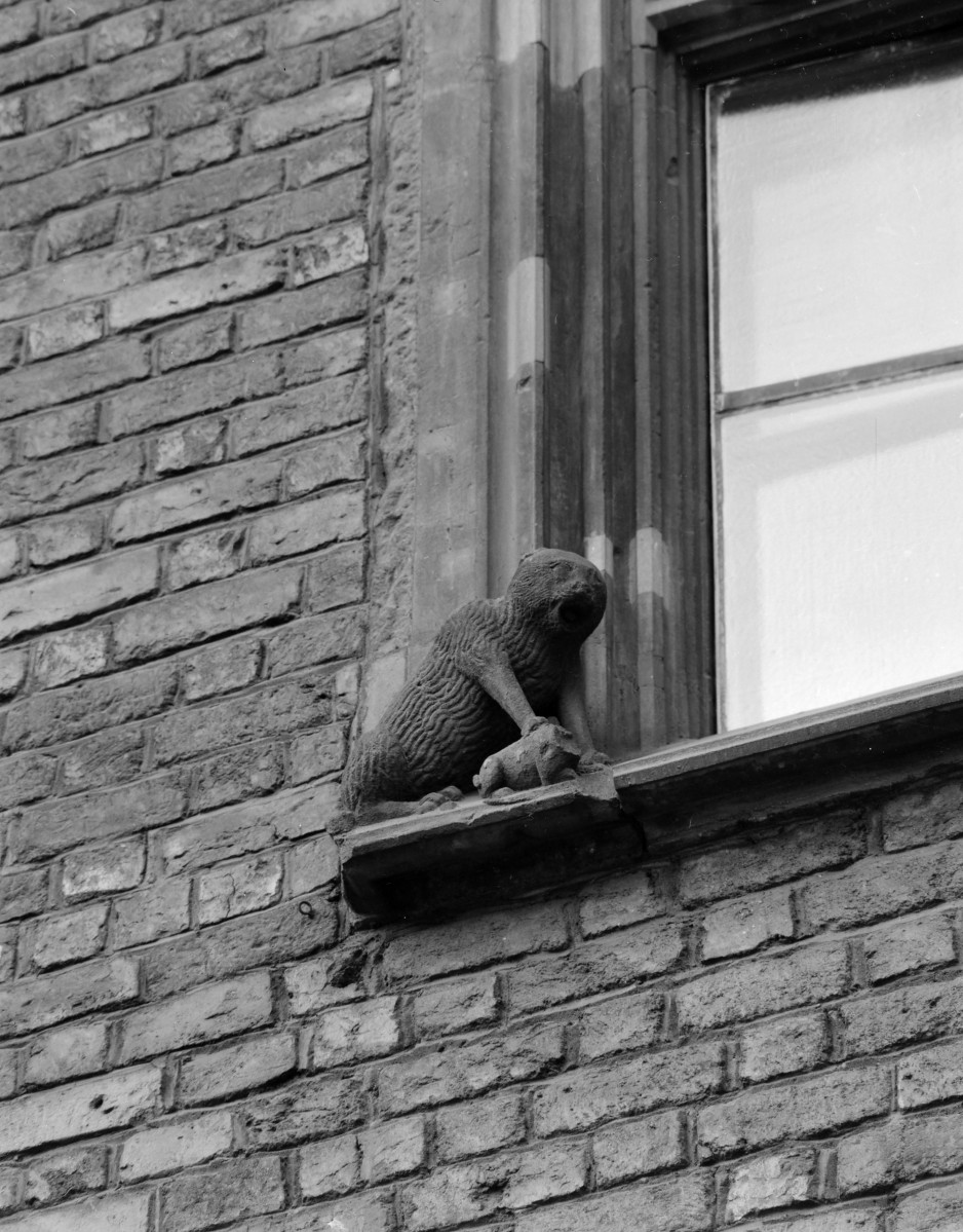 Ratusz - elewacja wsch. maszkaron , skan 1