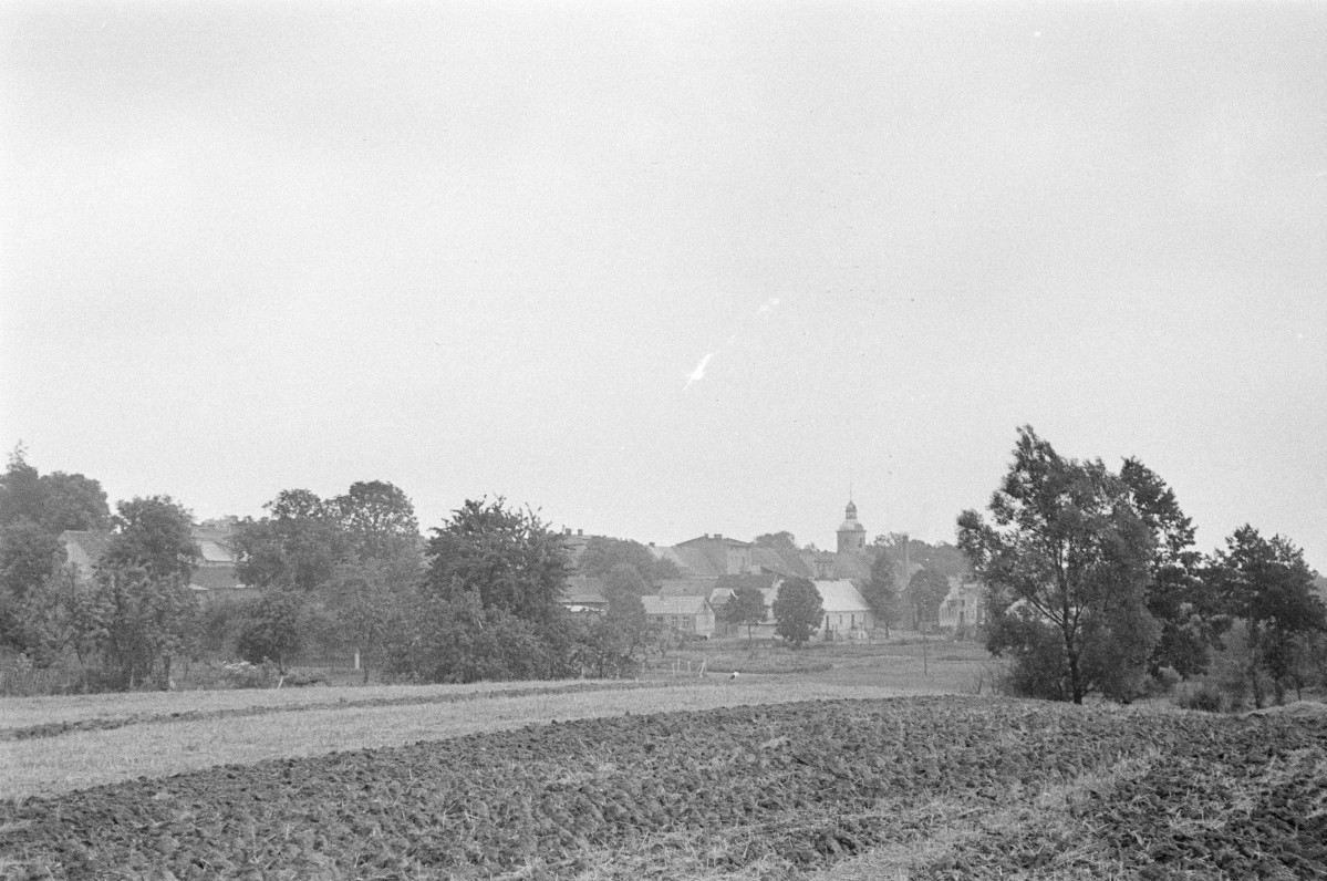 panorama miasta - dominanta, skan 1