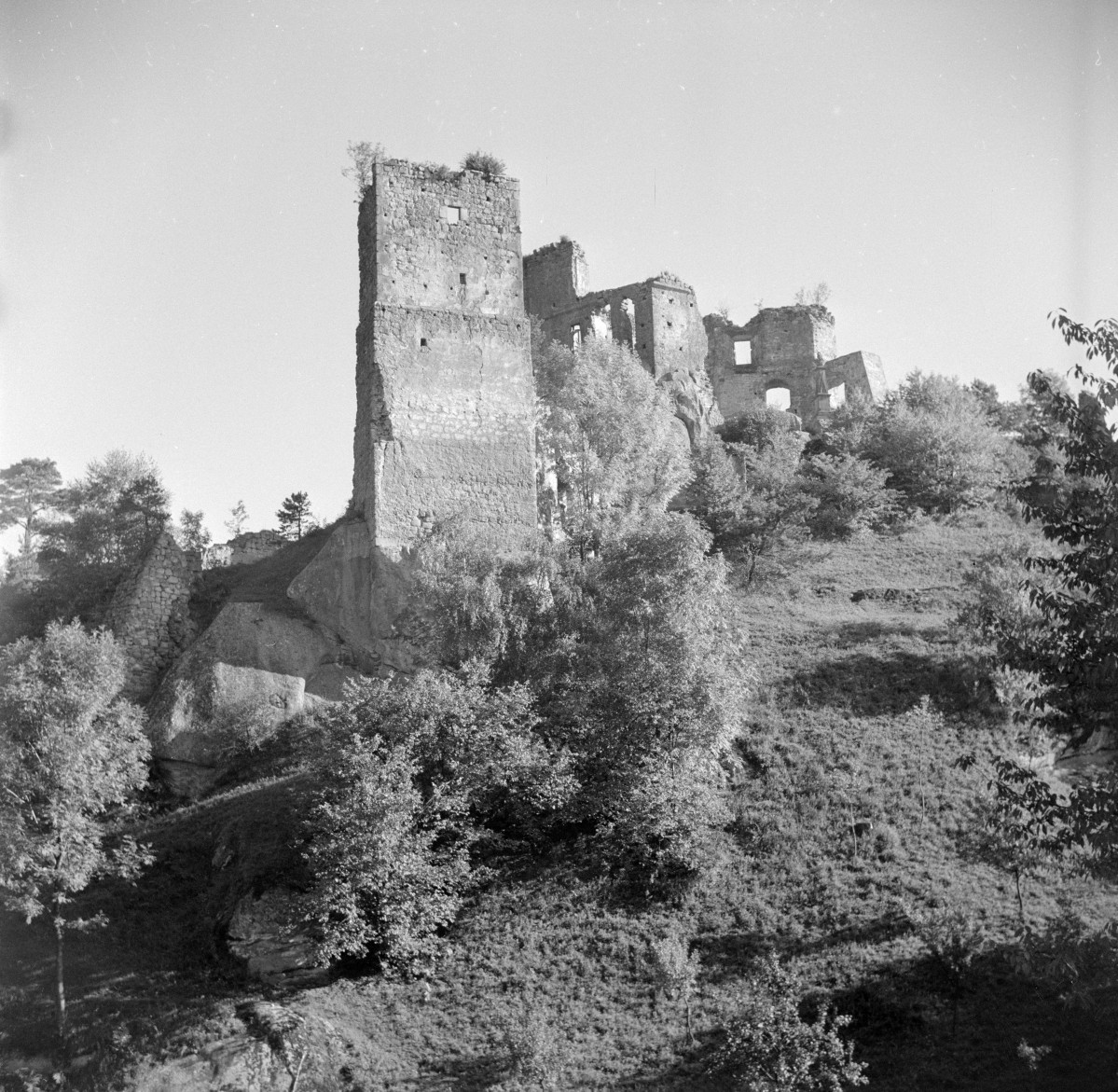 ruina Zamku Kamieniec - fragment, skan 1