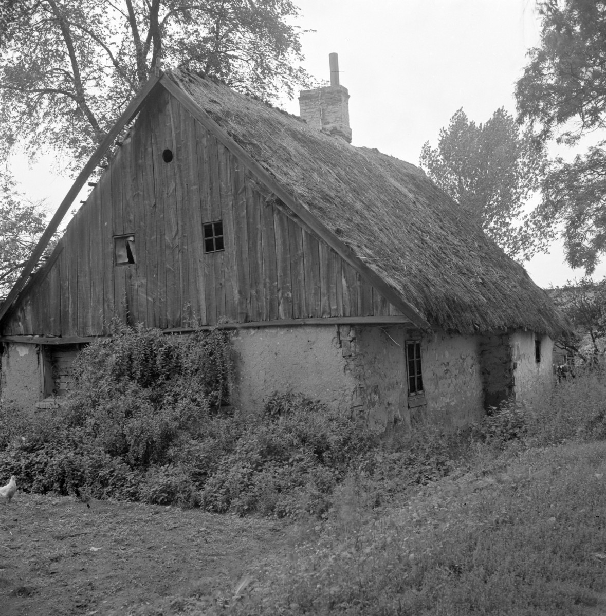 dom - elewacja, skan 1