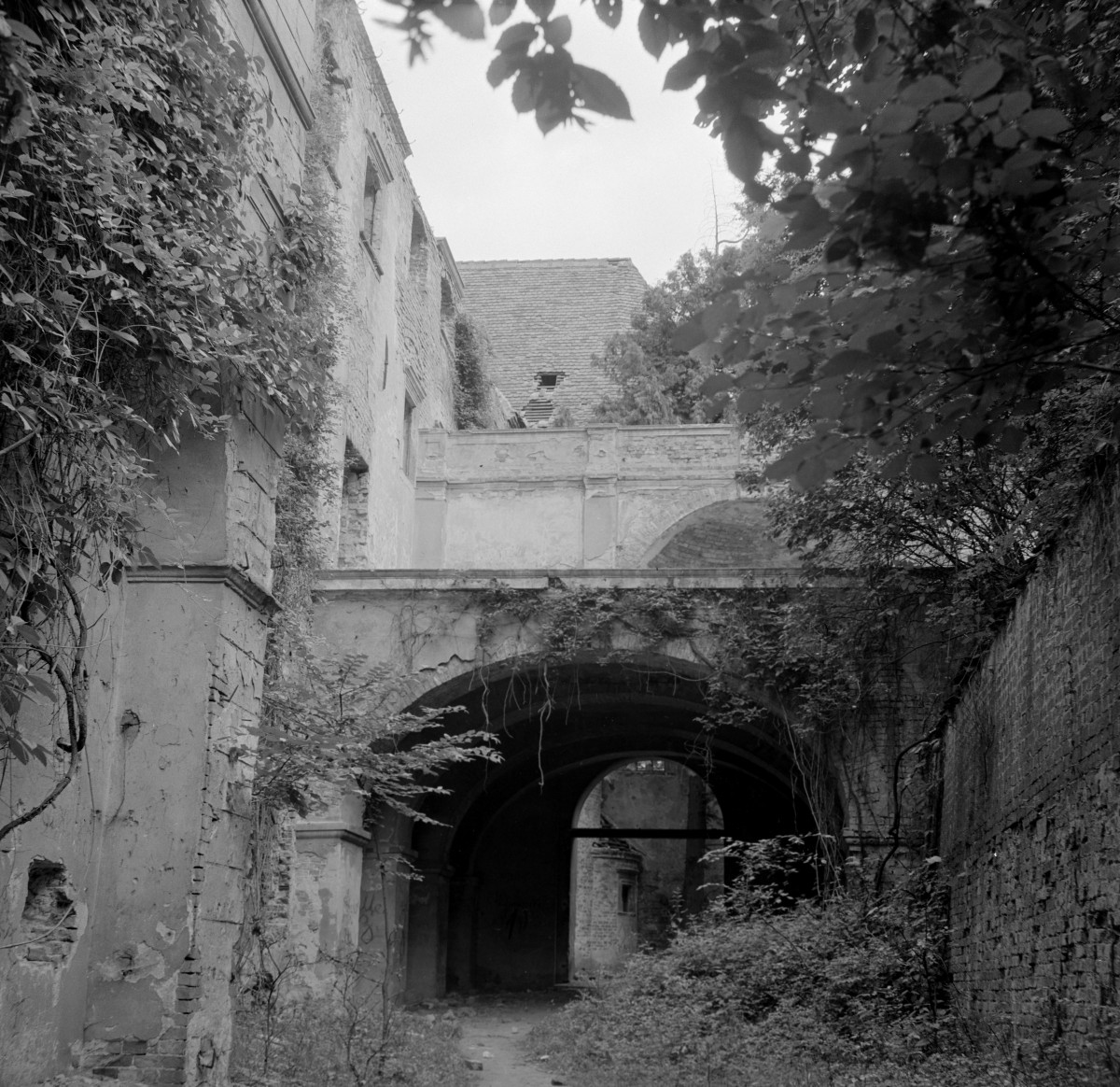 zamek - skrzydło, fragment elewacji, skan 1