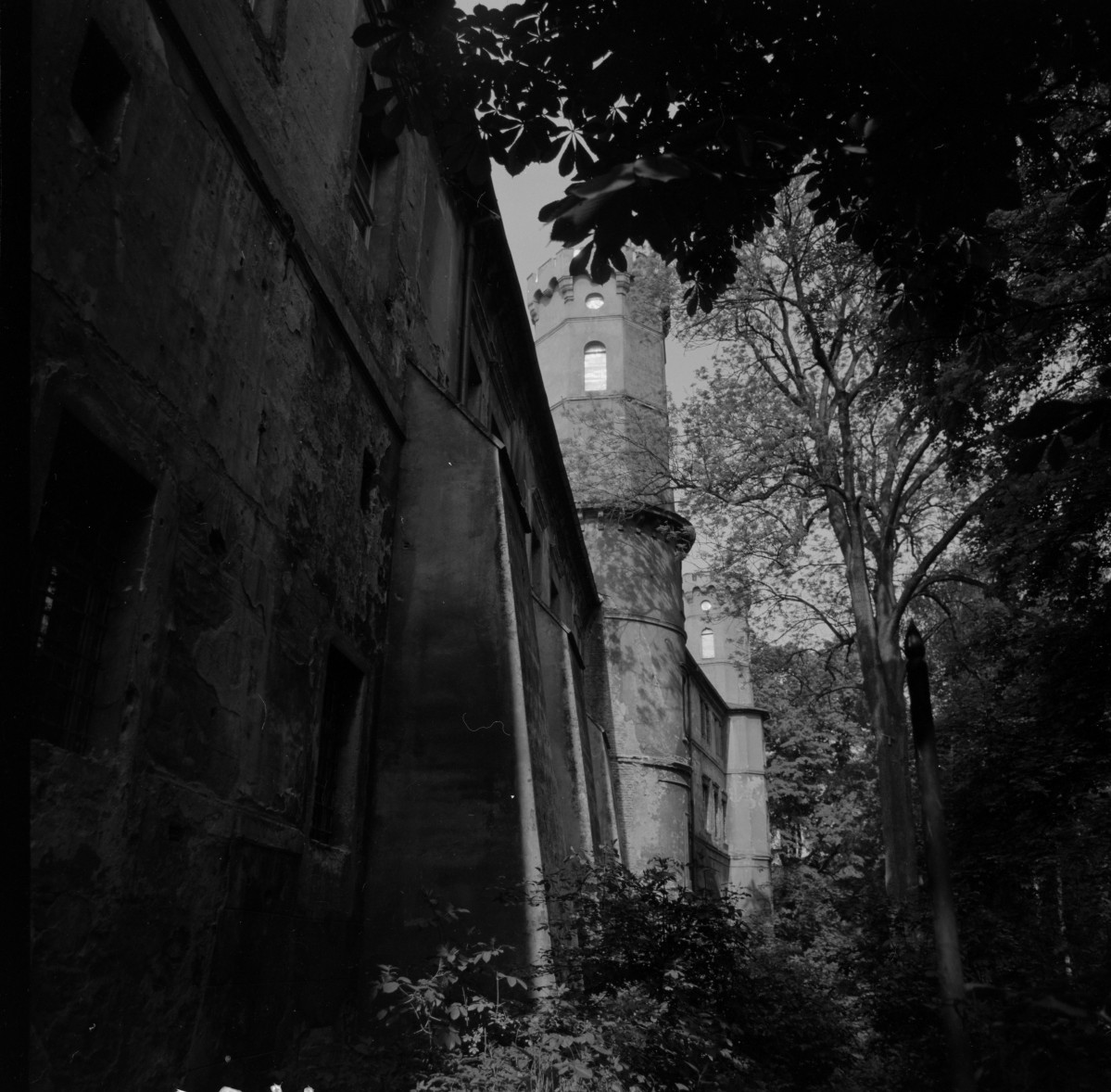 zamek Oppersdorffów - zamek górny - zewnętrzna elewacja północna, skan 1