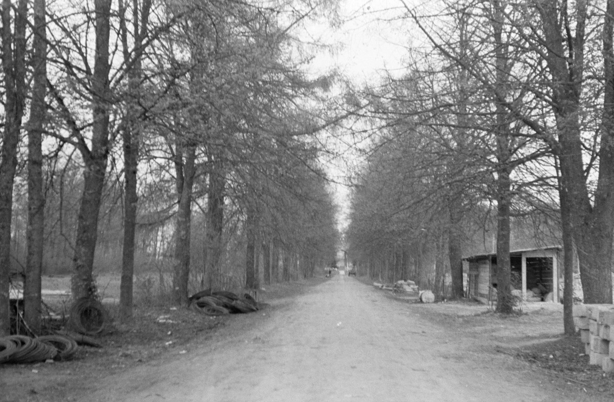 pałac - aleja dojazdowa, skan 1