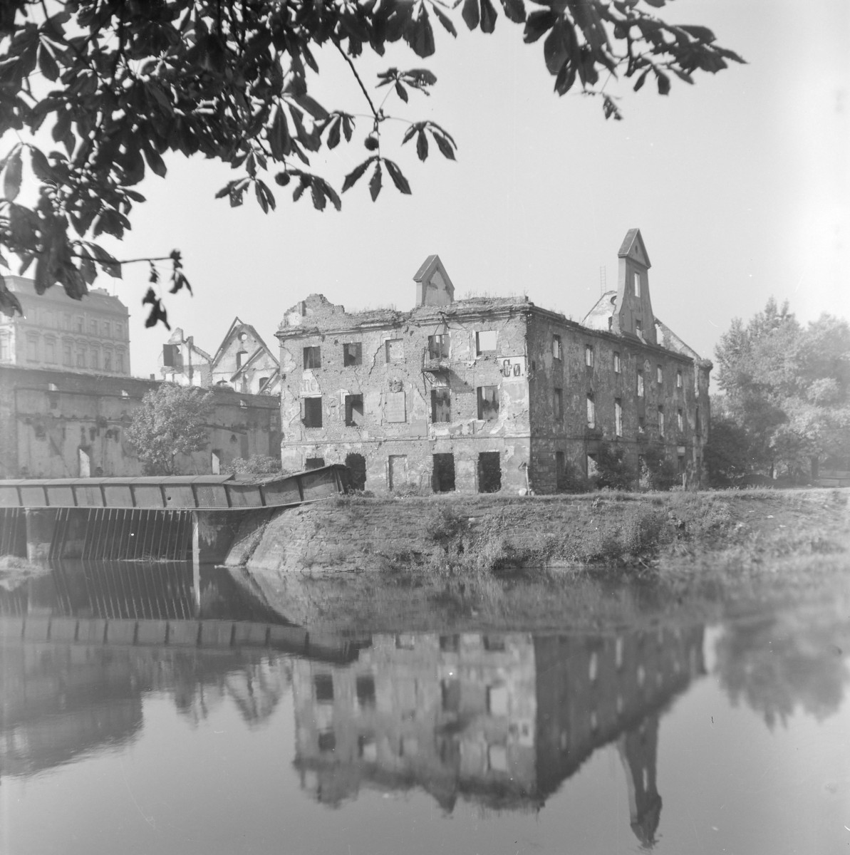 Wyspa Bielarska. Zniszczony młyny przy nie istniejącym moście św. Klary. Widok ogólny. , skan 1