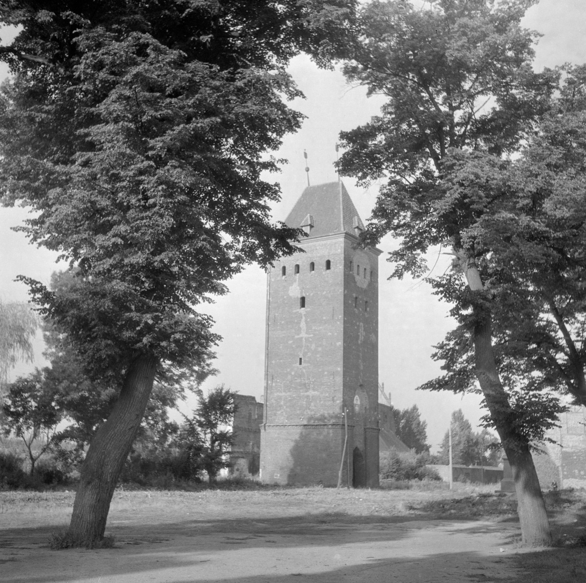 Brama Targowa - widok zewnętrzny, skan 1