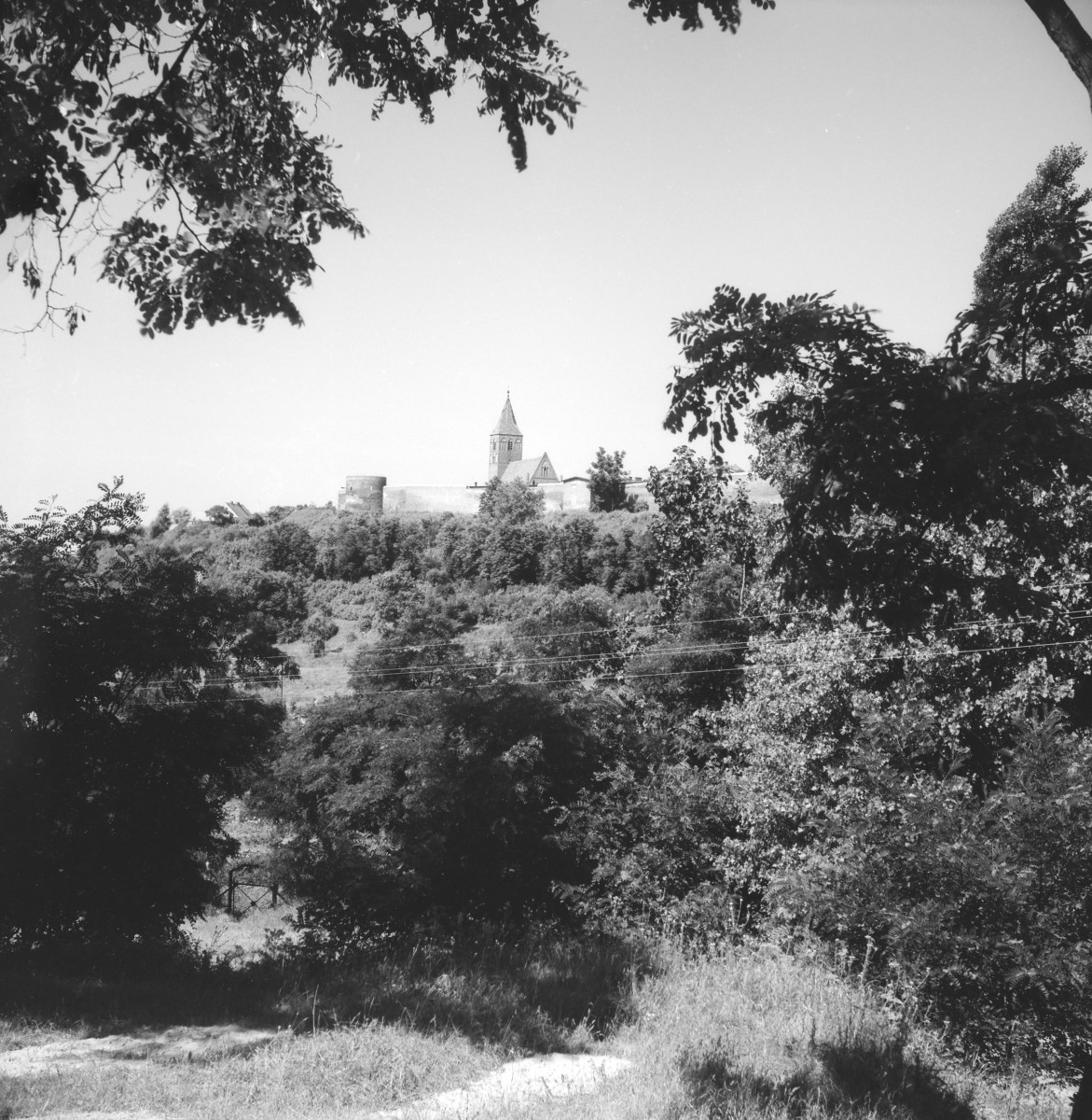 Dominanta. Mury miejskie z widocznym narożnikiem w postaci baszty oraz wieży kościelnej, kościoła św. Ducha., skan 1