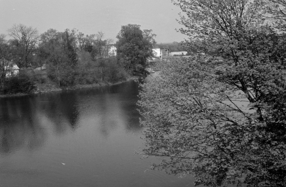 zamek - widok z zamku, skan 1