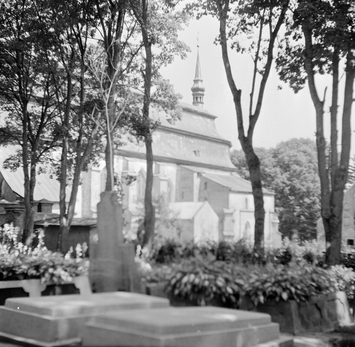 kościół pw. Wniebowzięcia Najświętszej Marii Panny - elewacja południowa, fragment, skan 1