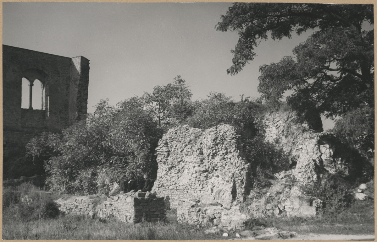 Zespół opactwa cystersów - widok na relikty skrzydła zach. klasztoru, skan 1