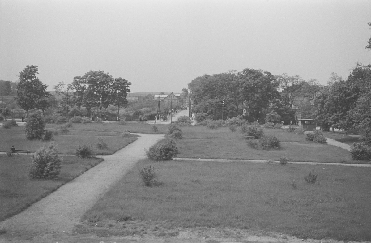 park, skan 1