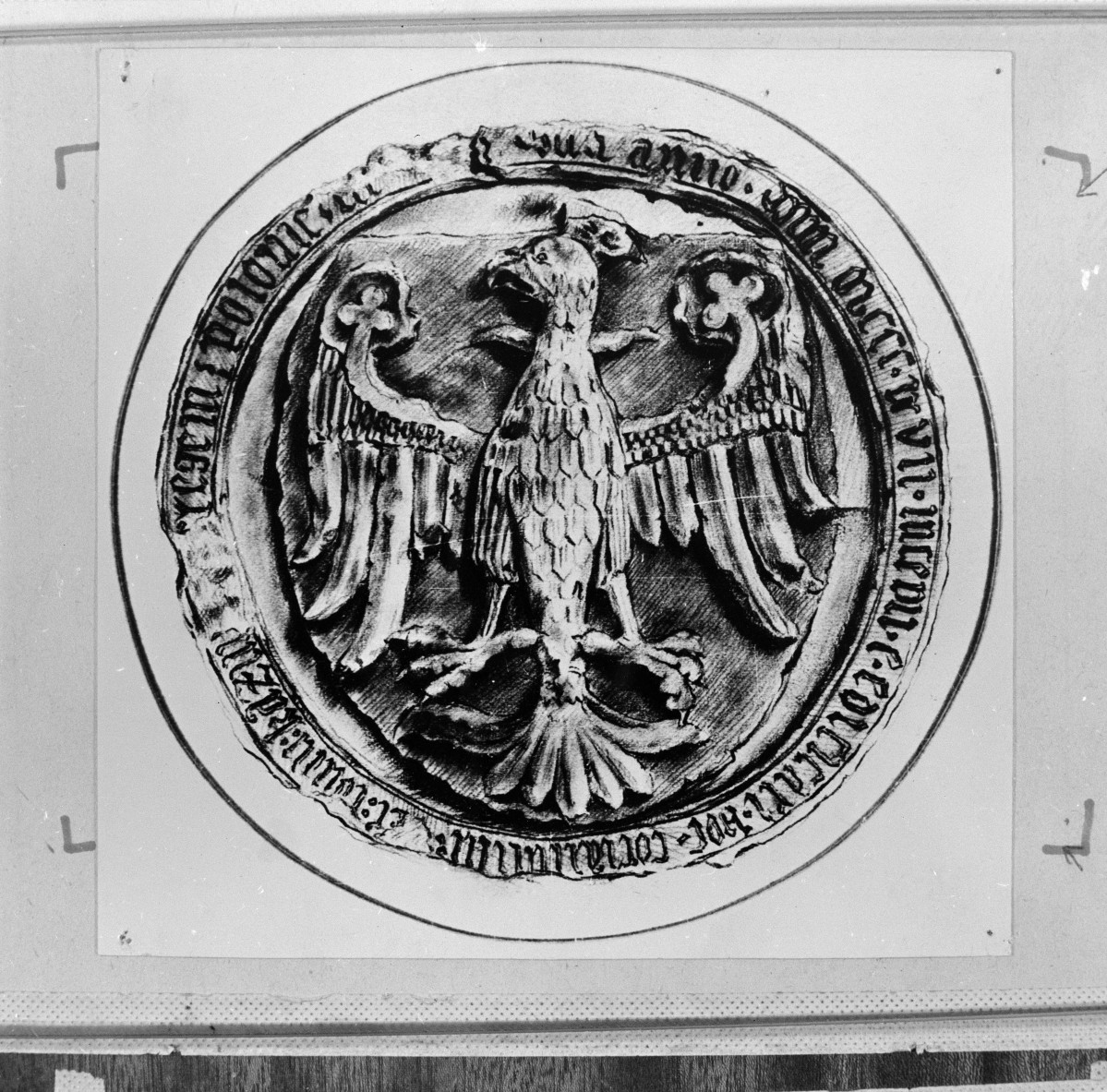 Rysunek orła piastowskiego z Łobzowa, z 1367r. - rezydencja pałac.-ogrod. ze zbiorów Muzeum Narodowego w Krakowie, Jan Władysław Rączka, skan 1