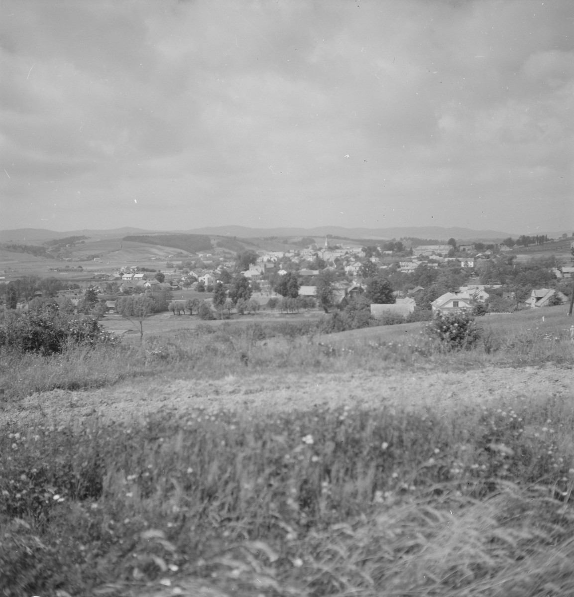 Panorama miasta., skan 1