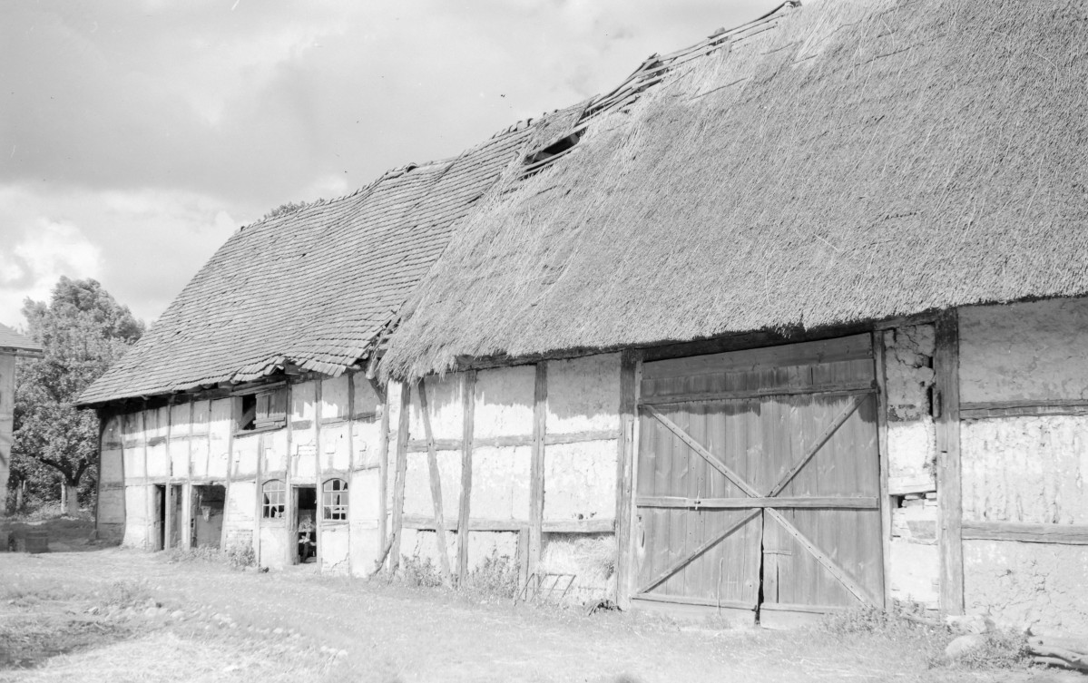 Zabudowa gospodarcza - stodoła: elewacja ryglowa, widok ogólny., skan 1