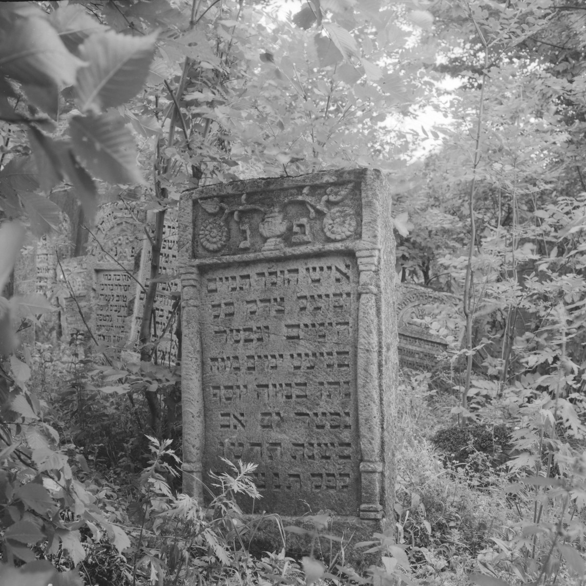 Cmentarz, Kirkut - macewy, skan 1