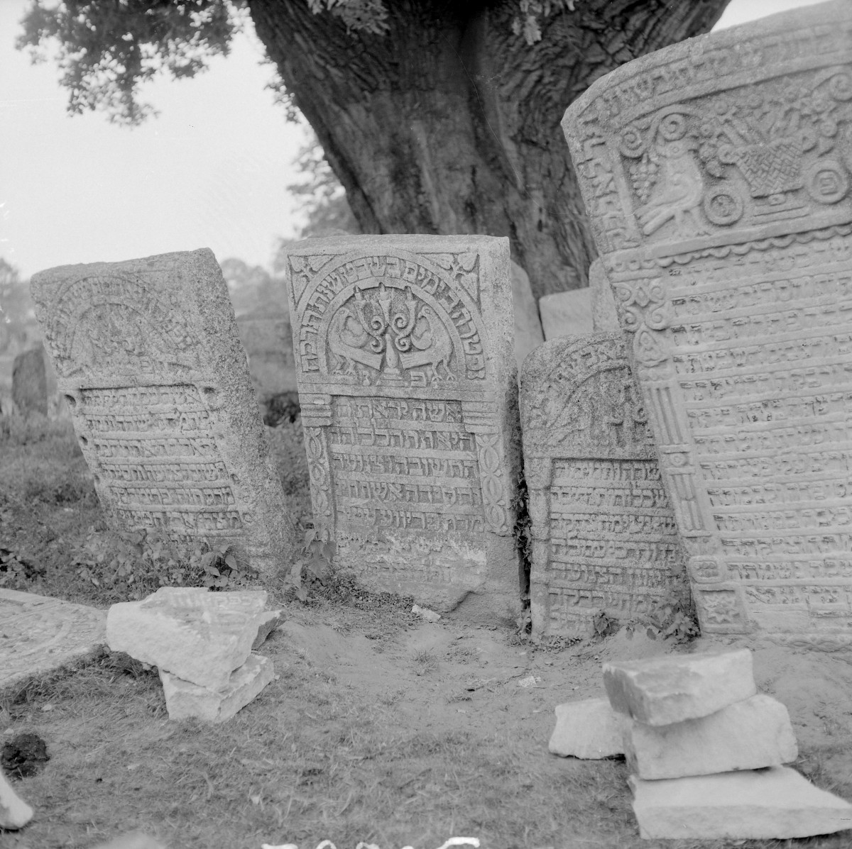 Cmentarz, Kirkut - macewy, skan 1