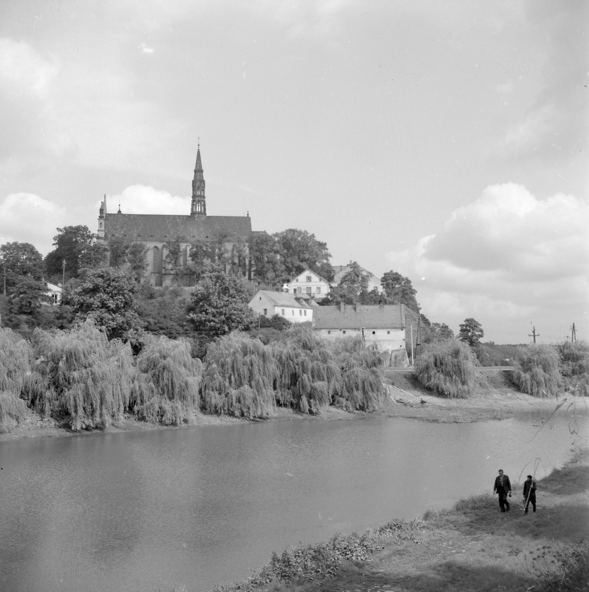 katedra - widok od strony południowej, skan 1