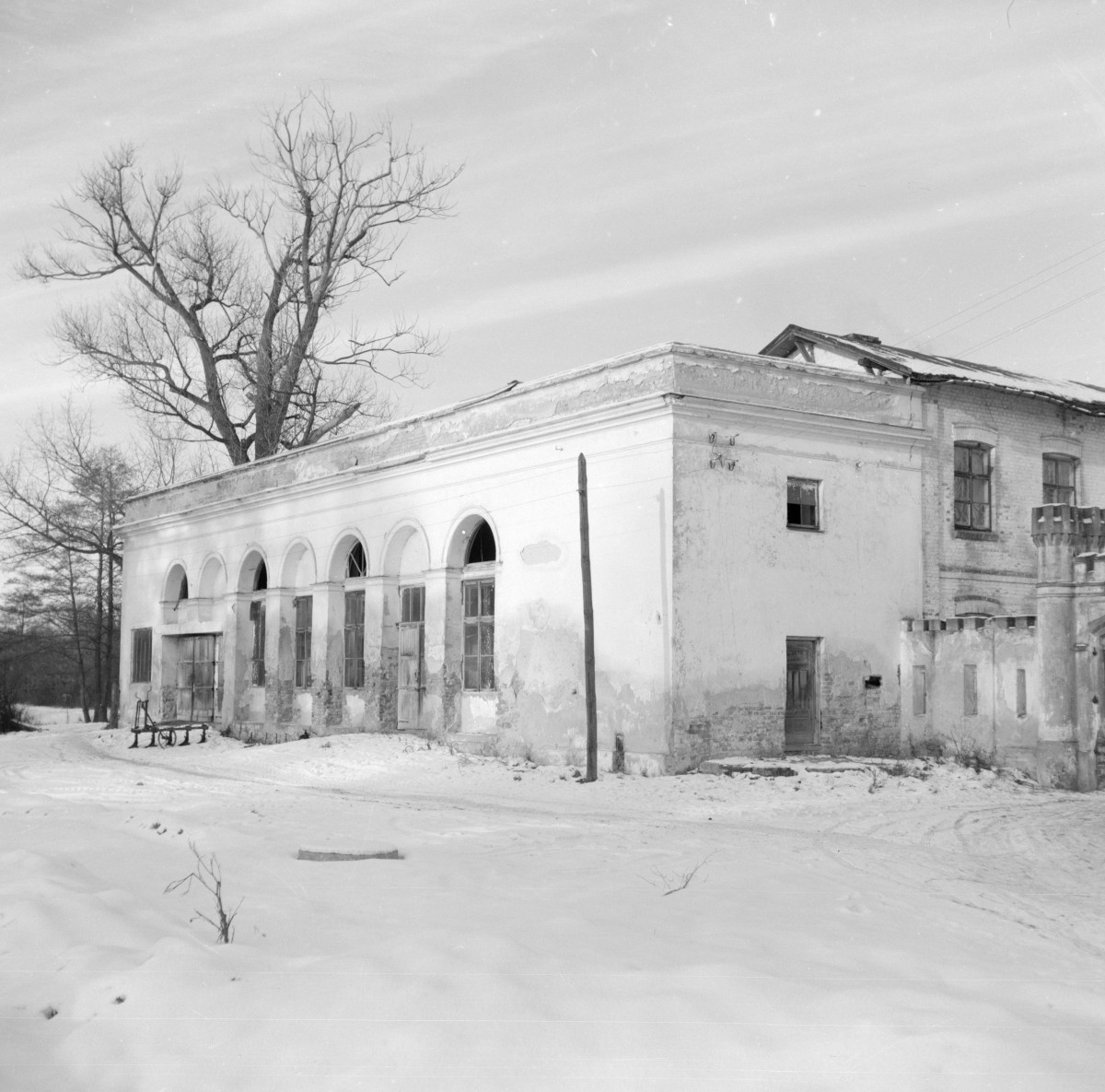 pałac - oranżeria, elewacja, skan 1