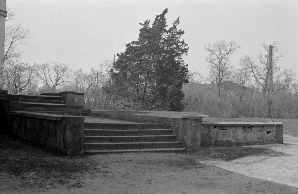 pałac - park krajobrazowy - taras od strony parku, skan 1