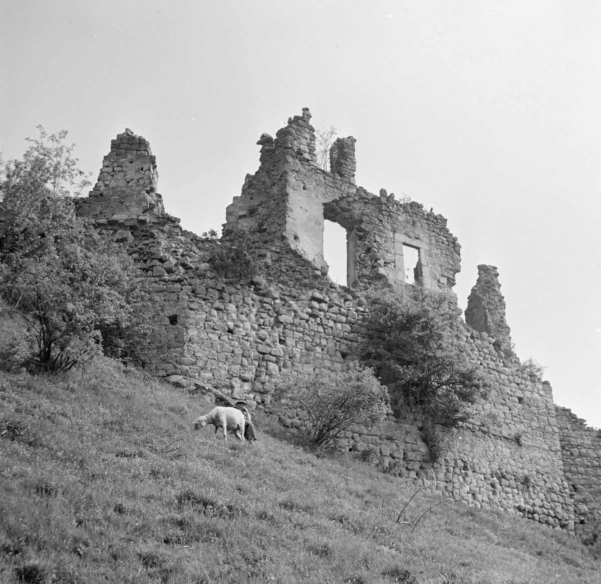 zamek Kamieniec - fragment murów z strony zewnętrzna, skan 1