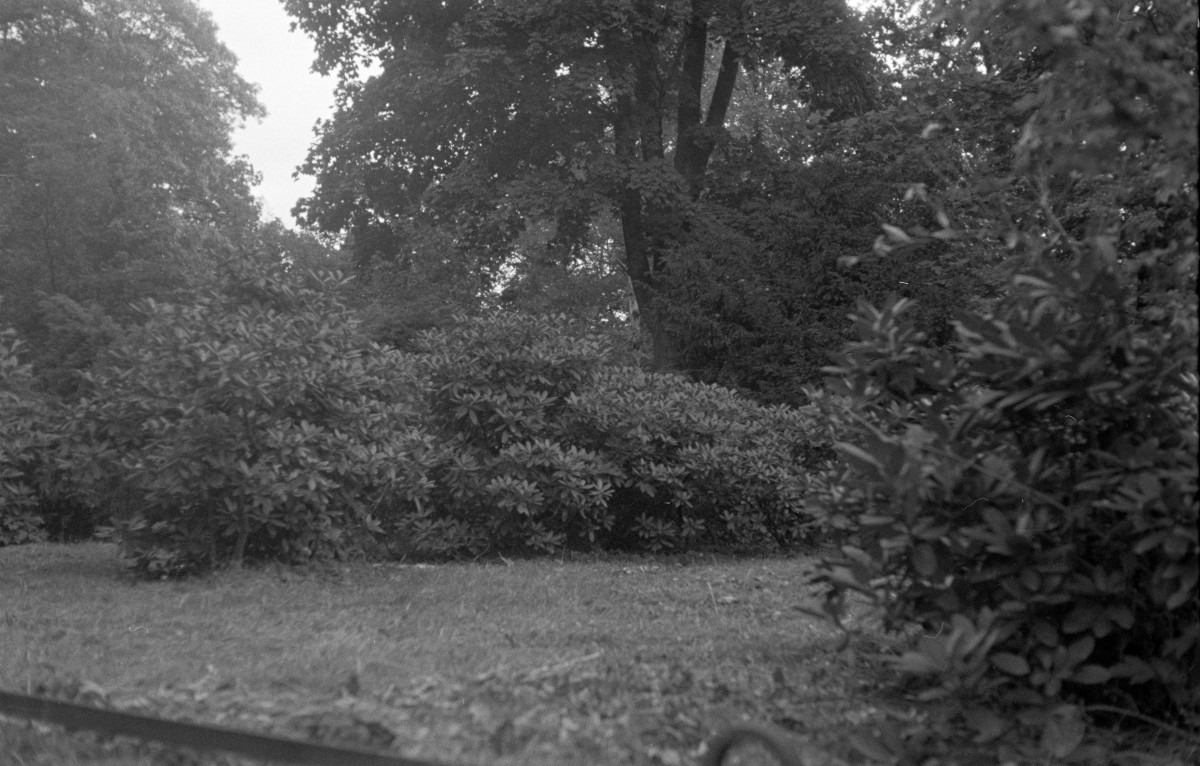 park Szczytnicki - park japoński - fragment, skan 1