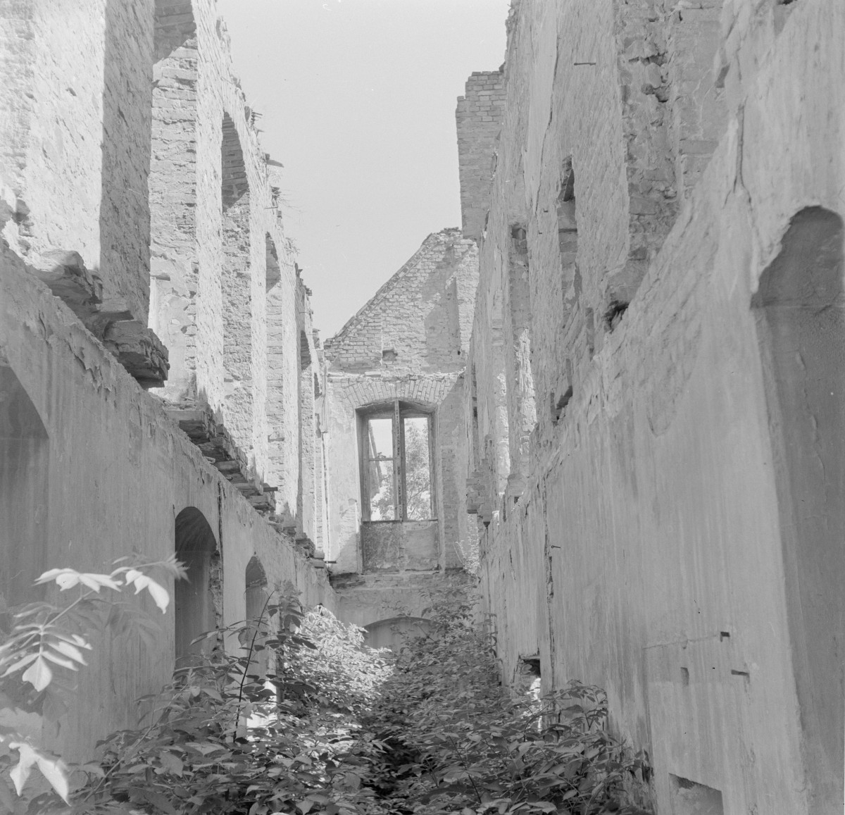 pałac von Kalckreutów - fragment ruin, skan 1