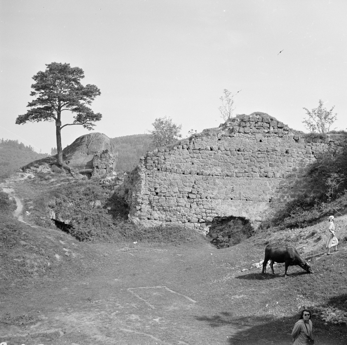 zamek Kamieniec - fragment murów strona wewnętrzna, skan 1