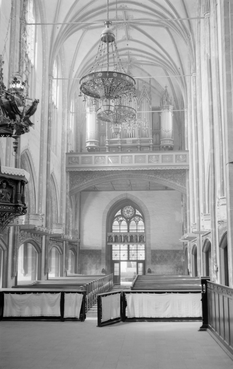 Katedra Niepokalanego Poczęcia NMP - wnętrze: prospekt organowy, sklepienie gwiaździste. portal, skan 1