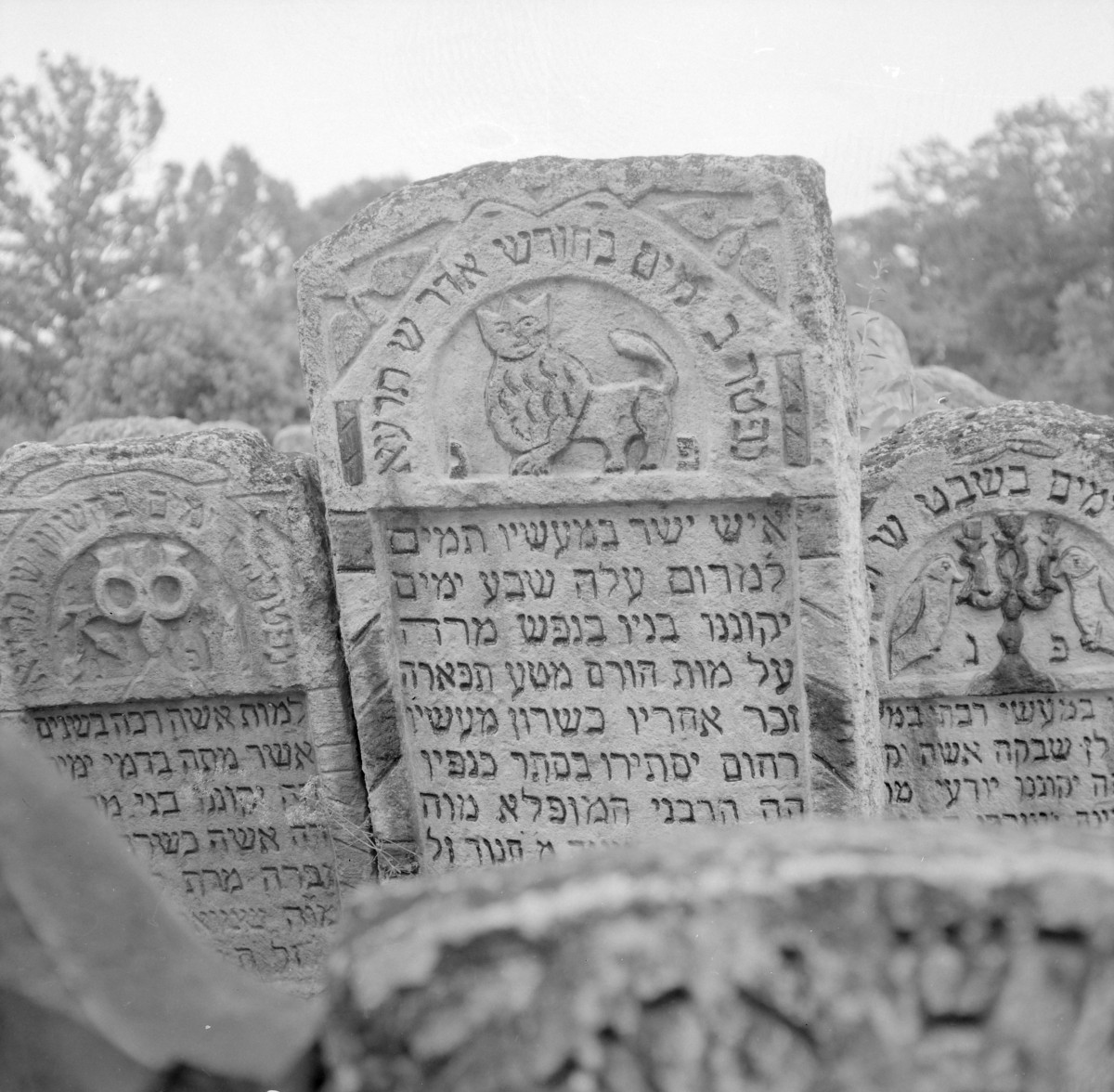 Cmentarz, Kirkut - macewy, skan 1