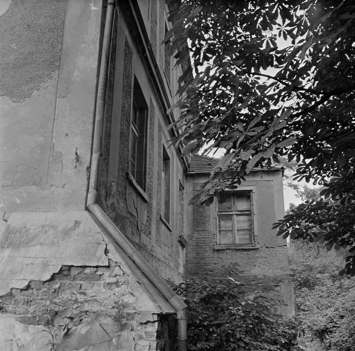 pałac - elewacja zachodnia, fragment, skan 1