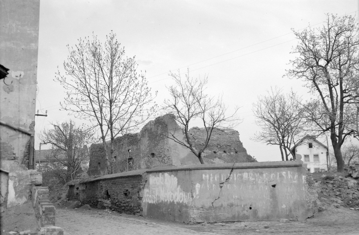 ruiny domu - widok ogólny, skan 1