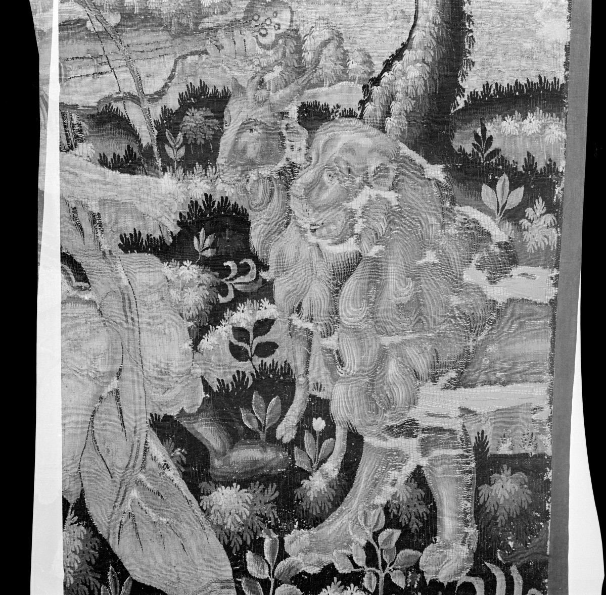 Muzeum Narodowe - Gobelin "Orfeusz zaklinający muzyką zwierzęta". Detale gobelinu. Lew i kozioł z uśmiechami na pyskach słuchają Orfeusza., skan 1