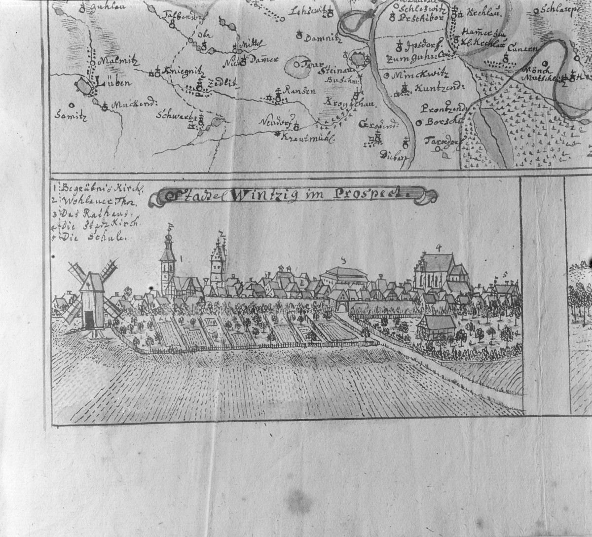 Panorama miasta. Rycina z "Topografii Śląska" autorstwa Friedricha Bernharda Wernera. , skan 1